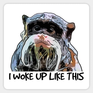 Funny Emperor Tamarin Magnet